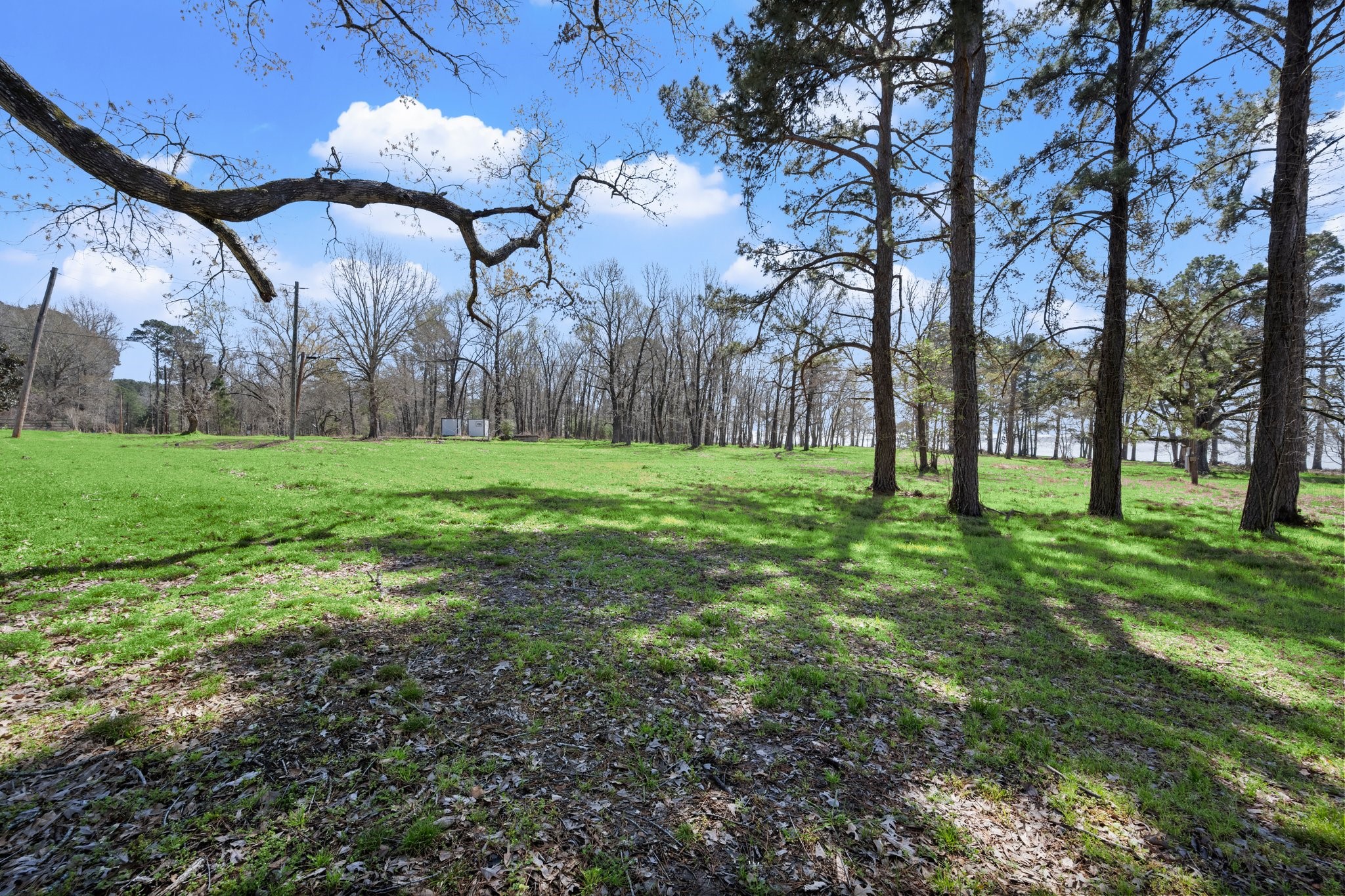 2405 Barrett's Landing Road Trinity, TX 75862 - Photo 19 of 48