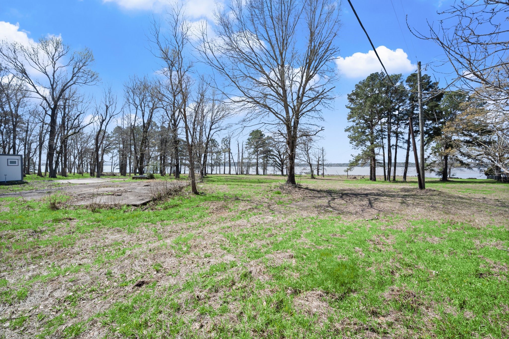 2405 Barrett's Landing Road Trinity, TX 75862 - Photo 20 of 48 a view of park with tree