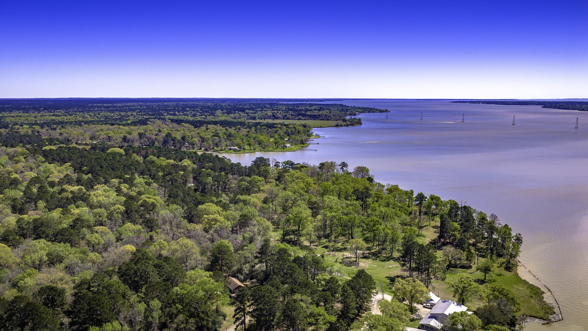 2405 Barrett's Landing Road Trinity, TX 75862 - Photo 20 of 30 a view of a field with an outdoor space