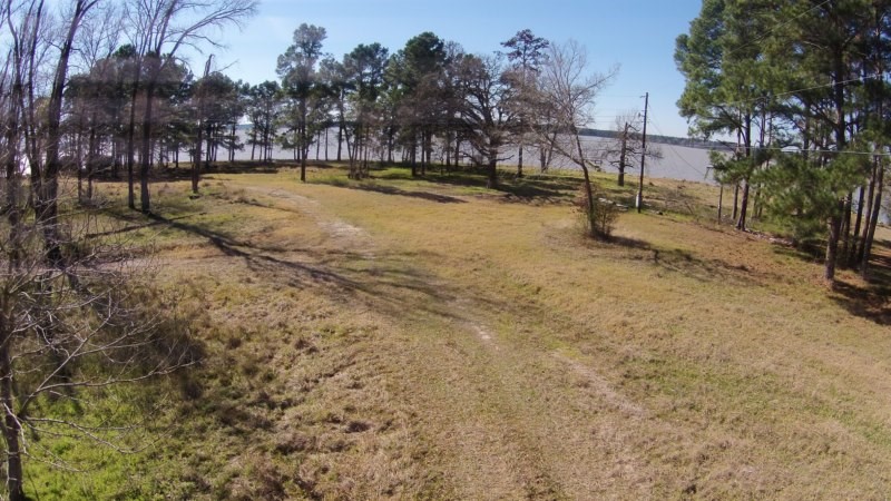 2405 Barrett's Landing Road Trinity, TX 75862 - Photo 2 of 48 a view of a yard with wooden fence