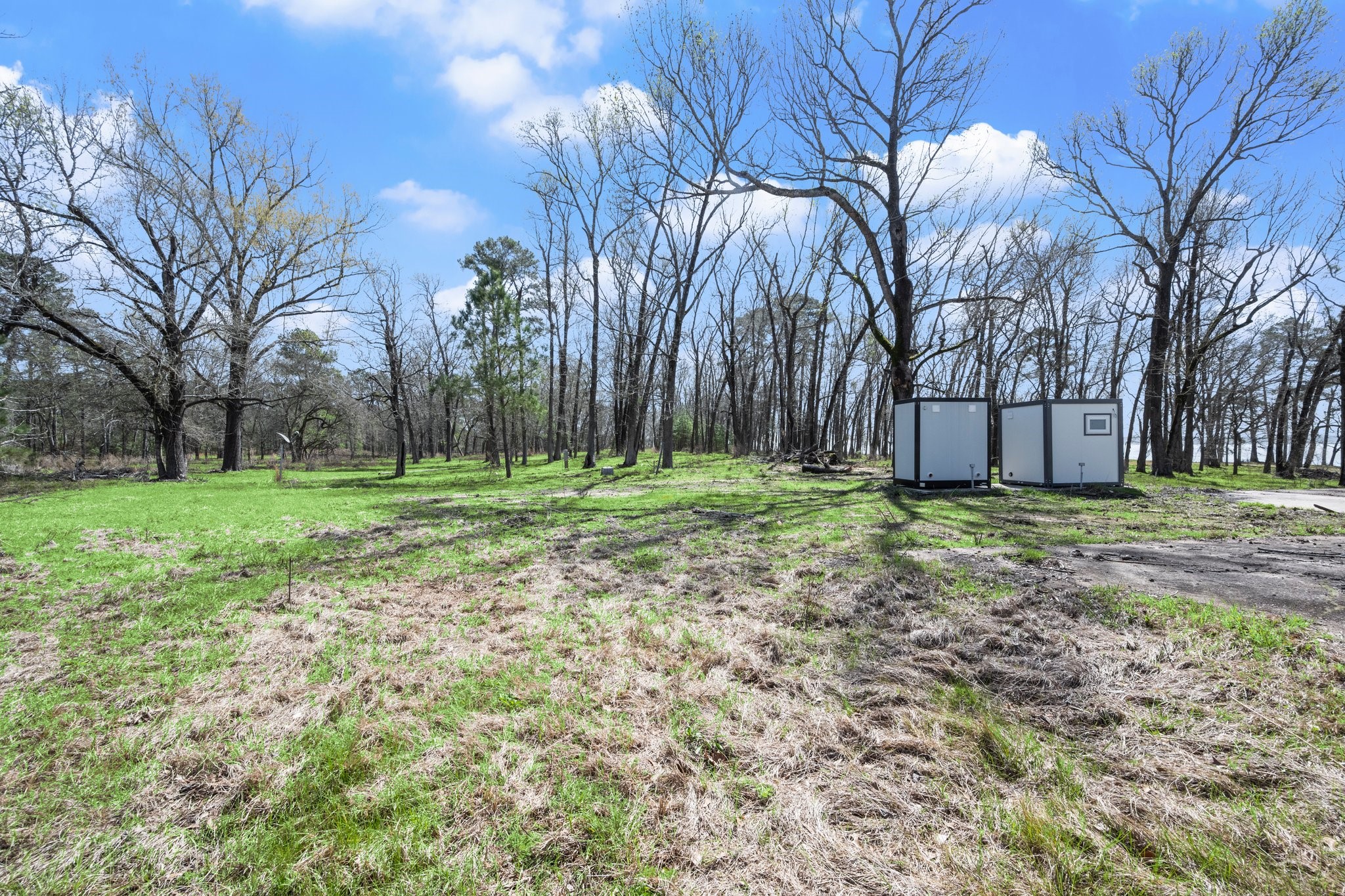 2405 Barrett's Landing Road Trinity, TX 75862 - Photo 21 of 48 a view of a backyard with large trees