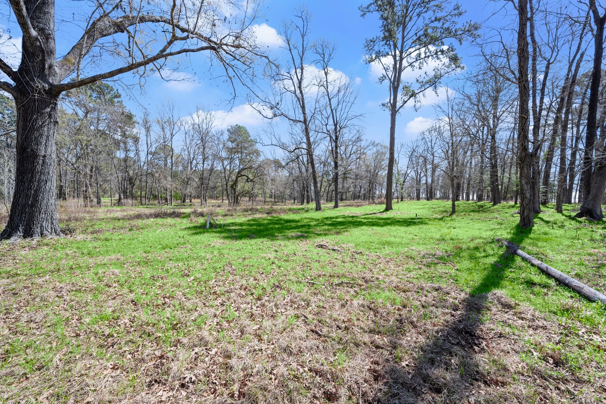 2405 Barrett's Landing Road Trinity, TX 75862 - Photo 22 of 48 a backyard of apartments with large trees