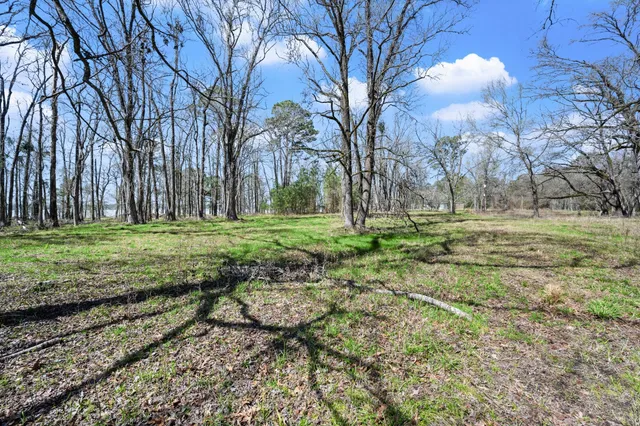 a backyard of a house with lots of green space