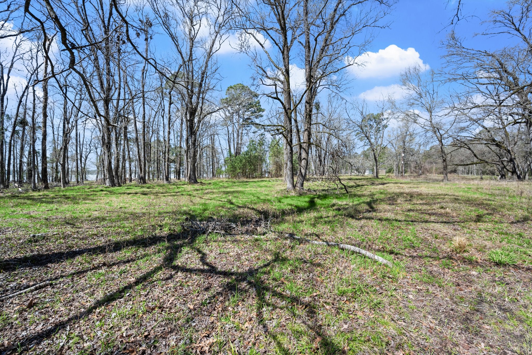 2405 Barrett's Landing Road Trinity, TX 75862 - Photo 24 of 48 a backyard of a house with lots of green space