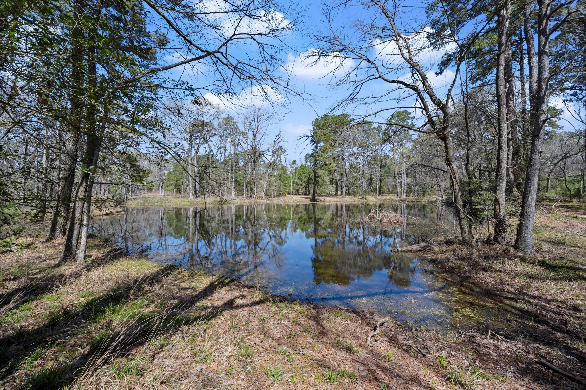 2405 Barrett's Landing Road Trinity, TX 75862 - Photo 25 of 48 Interior lake.