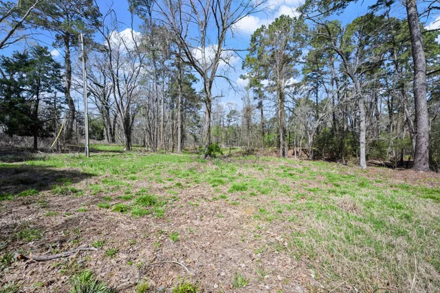 a view of a lake and mountain in the back