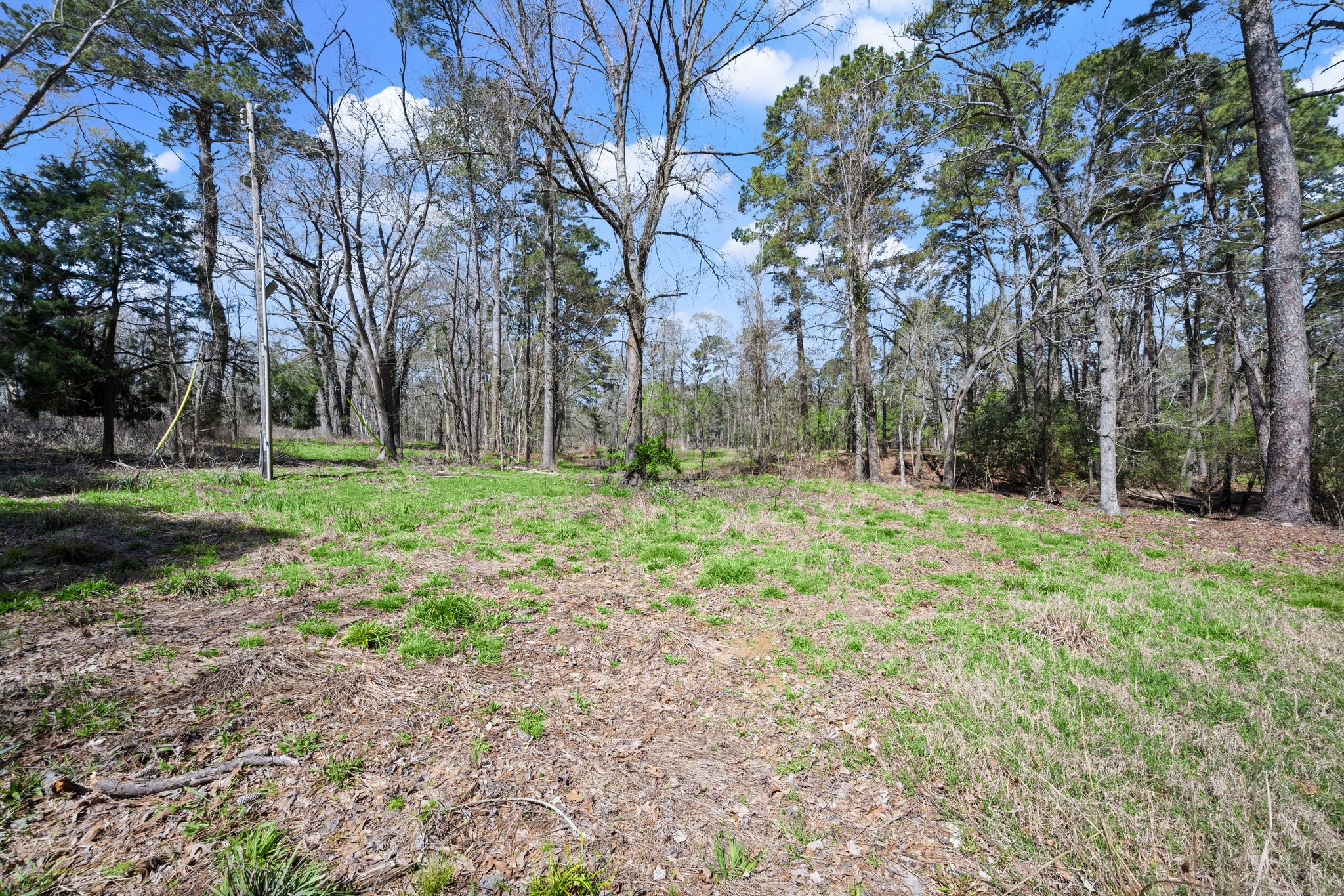 2405 Barrett's Landing Road Trinity, TX 75862 - Photo 26 of 48 a fire hydrant in the middle of a field