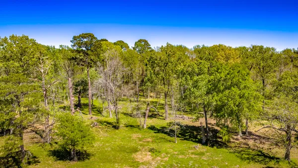 $1,500,000 | 2405 Barrett's Landing Road, Trinity, TX 75862