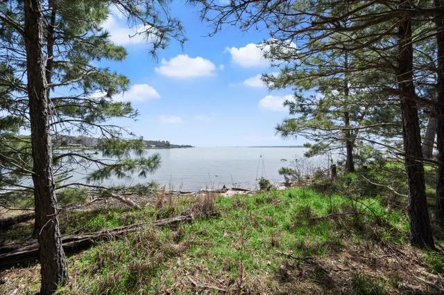 a view of yard with tree in the background