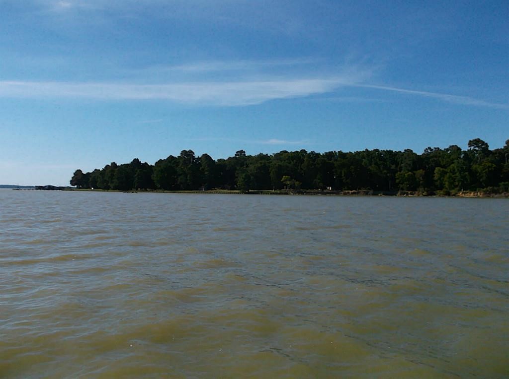 2405 Barrett's Landing Road Trinity, TX 75862 - Photo 30 of 30 a view of a lake view and mountain view