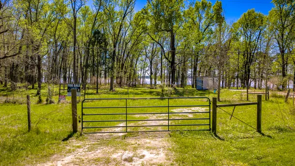 a view of backyard with green space