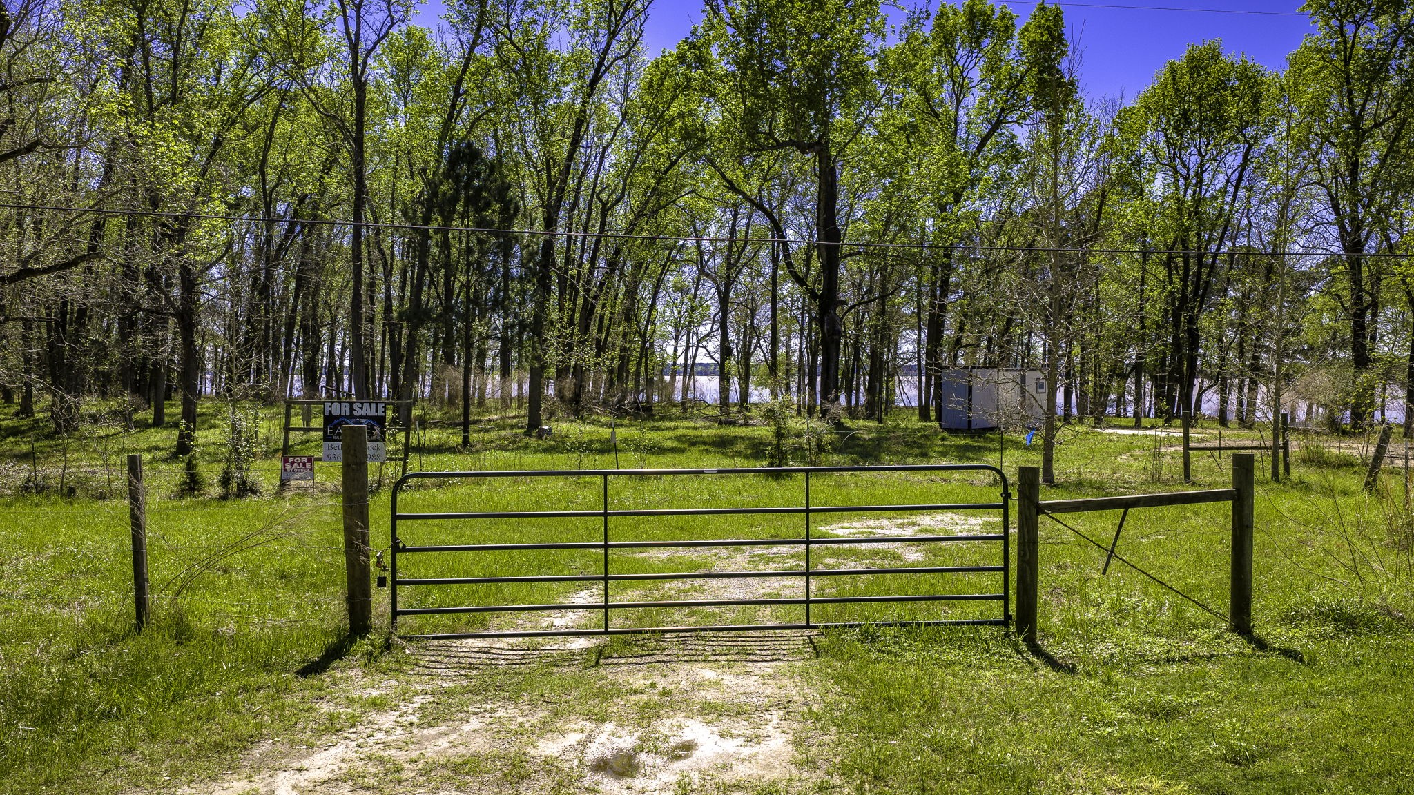 2405 Barrett's Landing Road Trinity, TX 75862 - Photo 3 of 30 a view of a park with an outdoor space