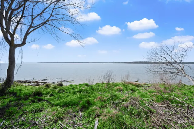 a backyard of a house with lots of green space and fountain