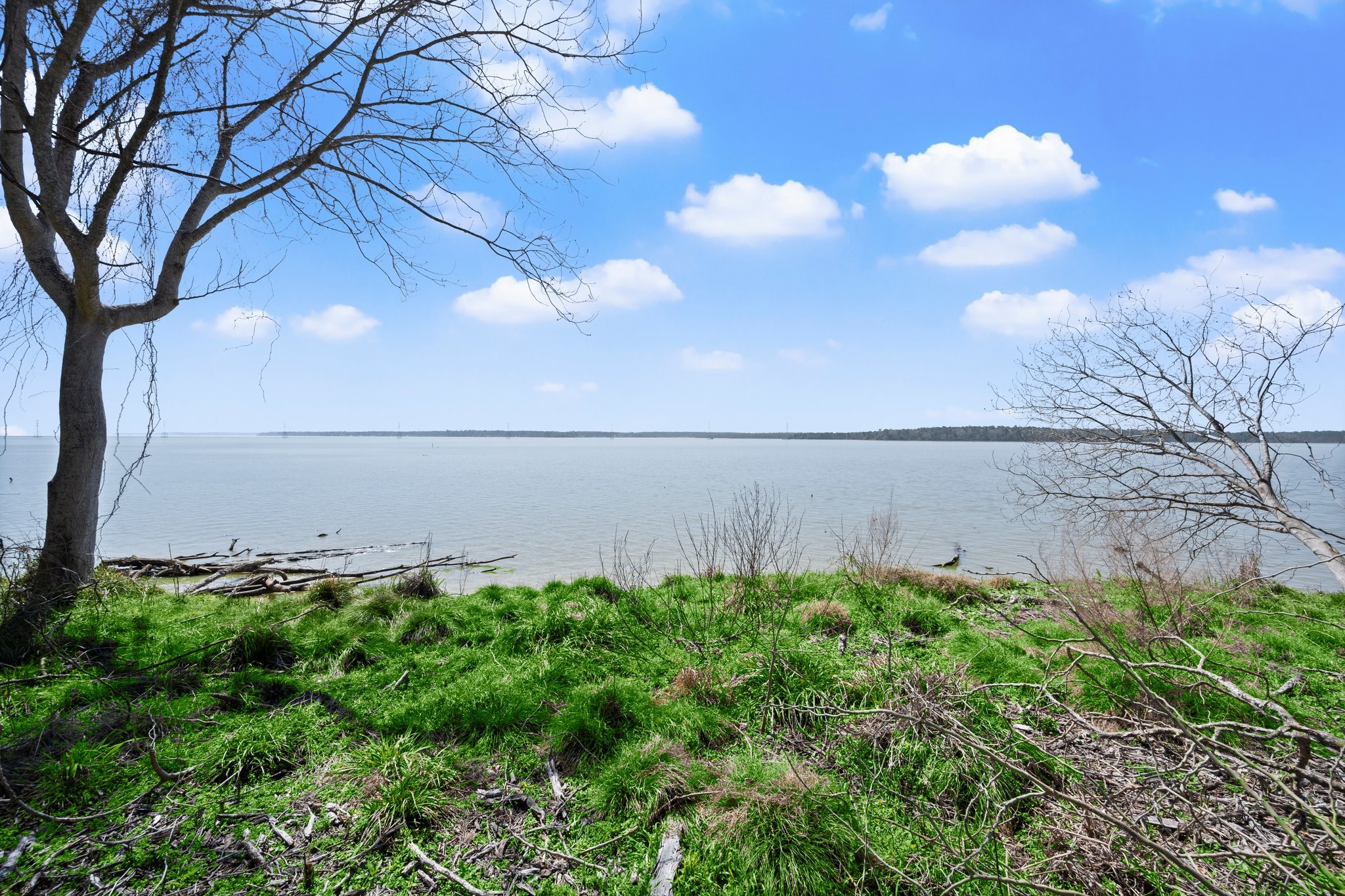 2405 Barrett's Landing Road Trinity, TX 75862 - Photo 33 of 48