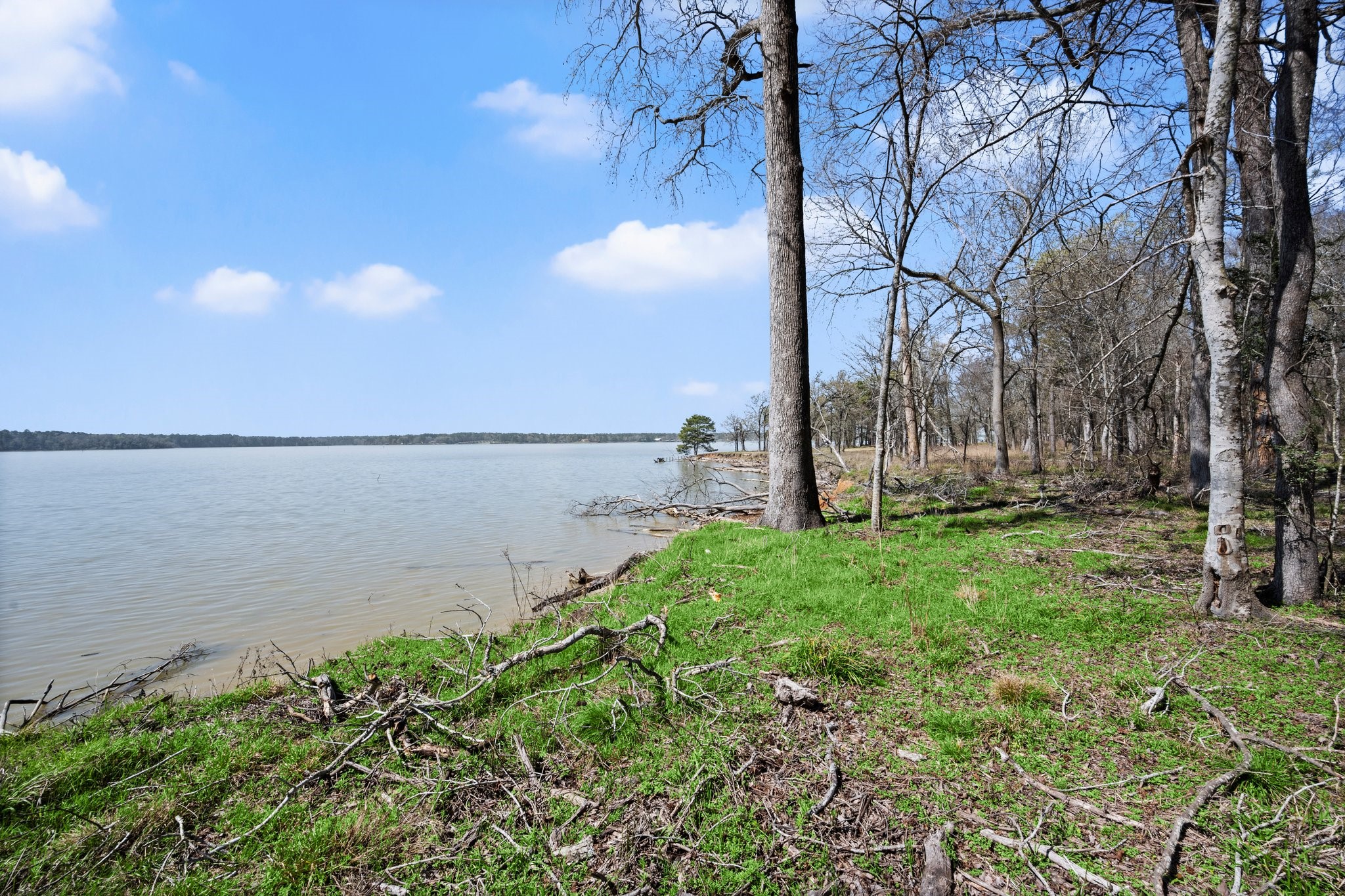 2405 Barrett's Landing Road Trinity, TX 75862 - Photo 34 of 48 a view of a yard with a house in the background