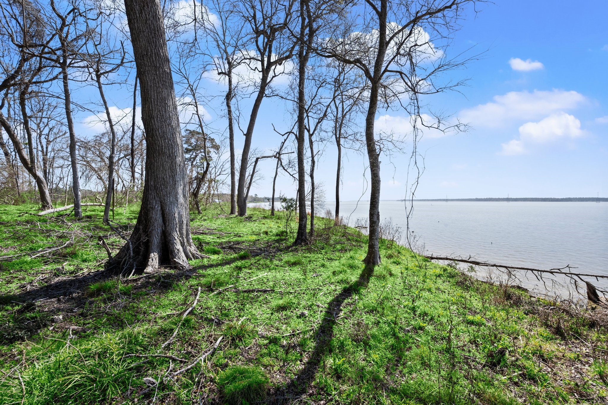 2405 Barrett's Landing Road Trinity, TX 75862 - Photo 36 of 48