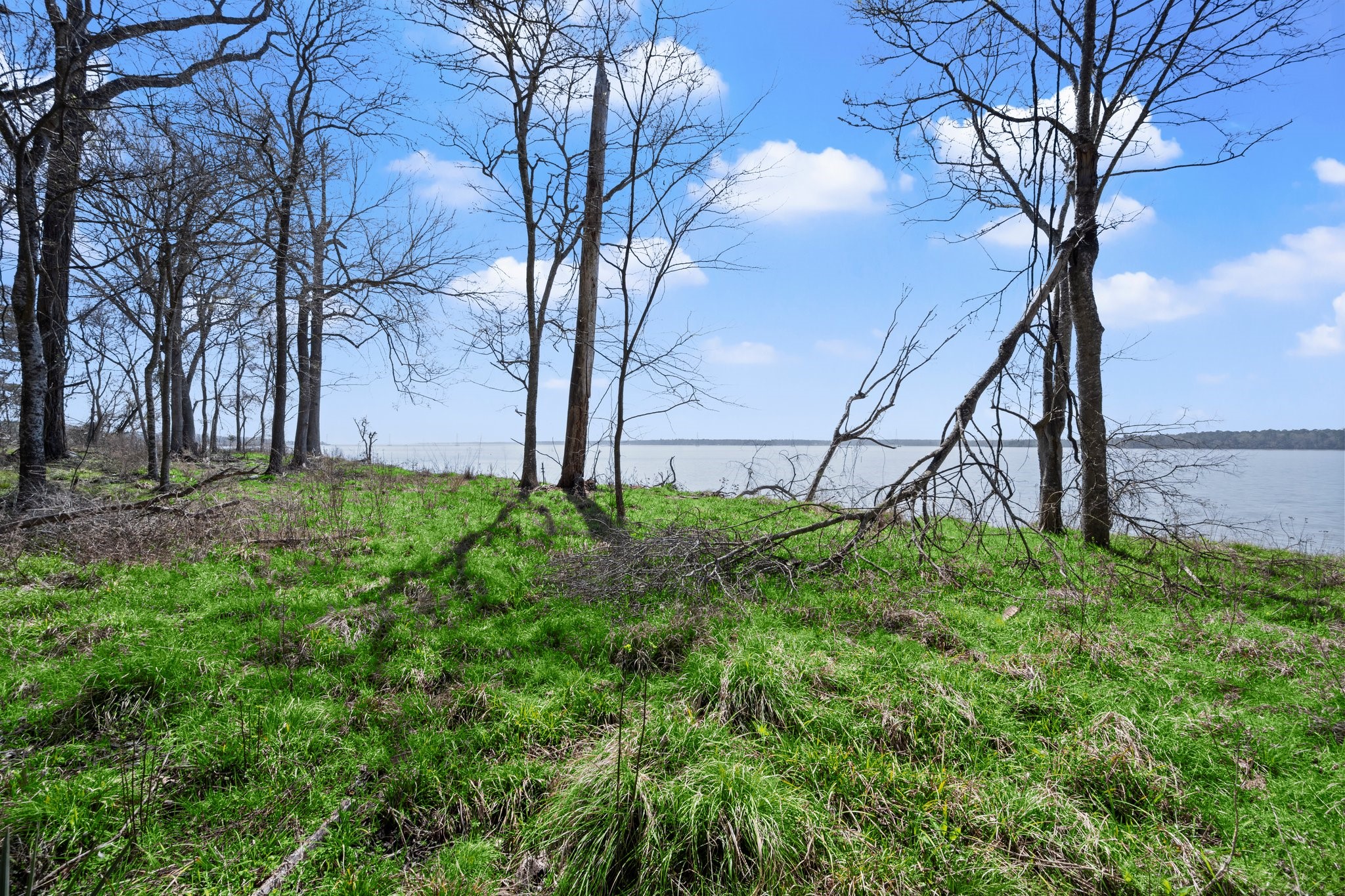 2405 Barrett's Landing Road Trinity, TX 75862 - Photo 38 of 48 a view of backyard with tree