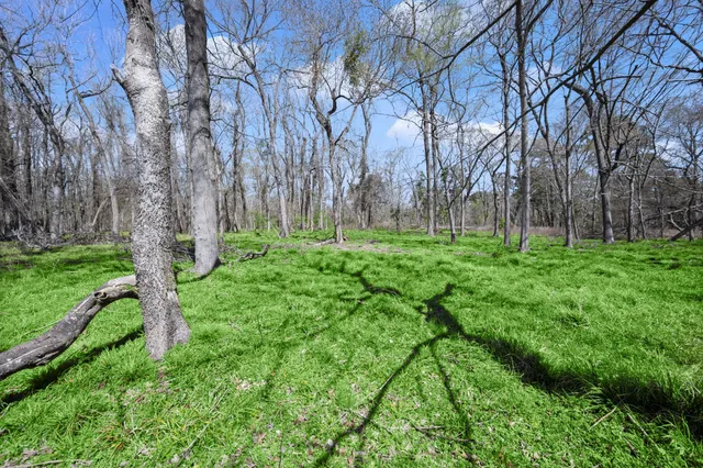 $2,000,000 | 2405 Barrett's Landing Road, Trinity, TX 75862