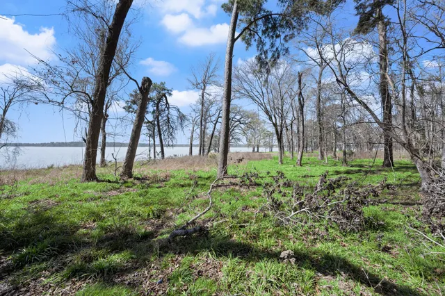 $2,000,000 | 2405 Barrett's Landing Road, Trinity, TX 75862