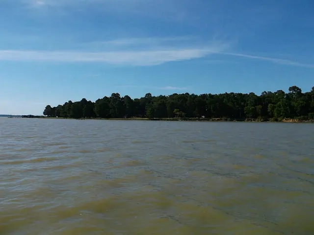 a view of outdoor space with trees
