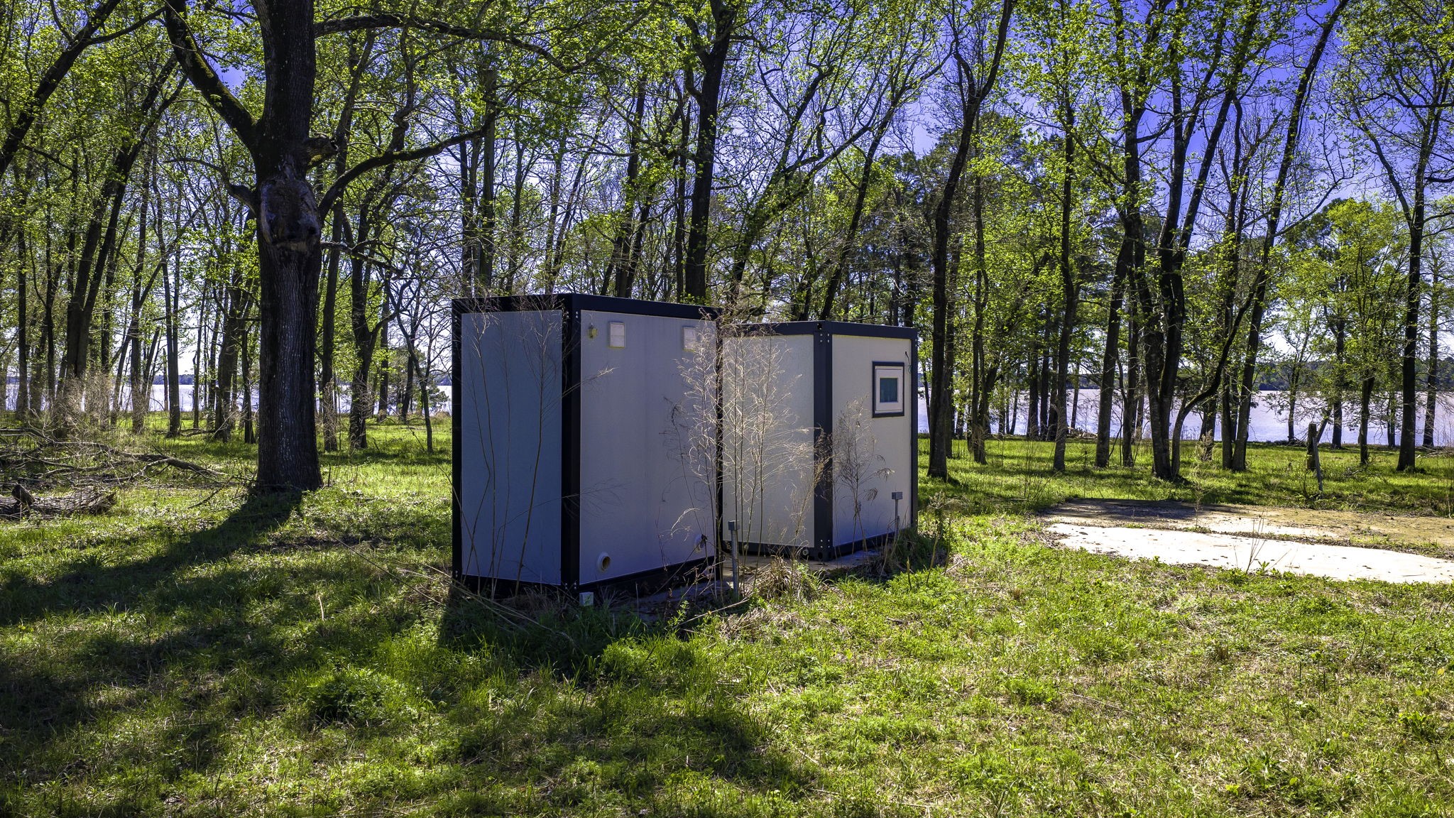 2405 Barrett's Landing Road Trinity, TX 75862 - Photo 4 of 30 a view of backyard with green space