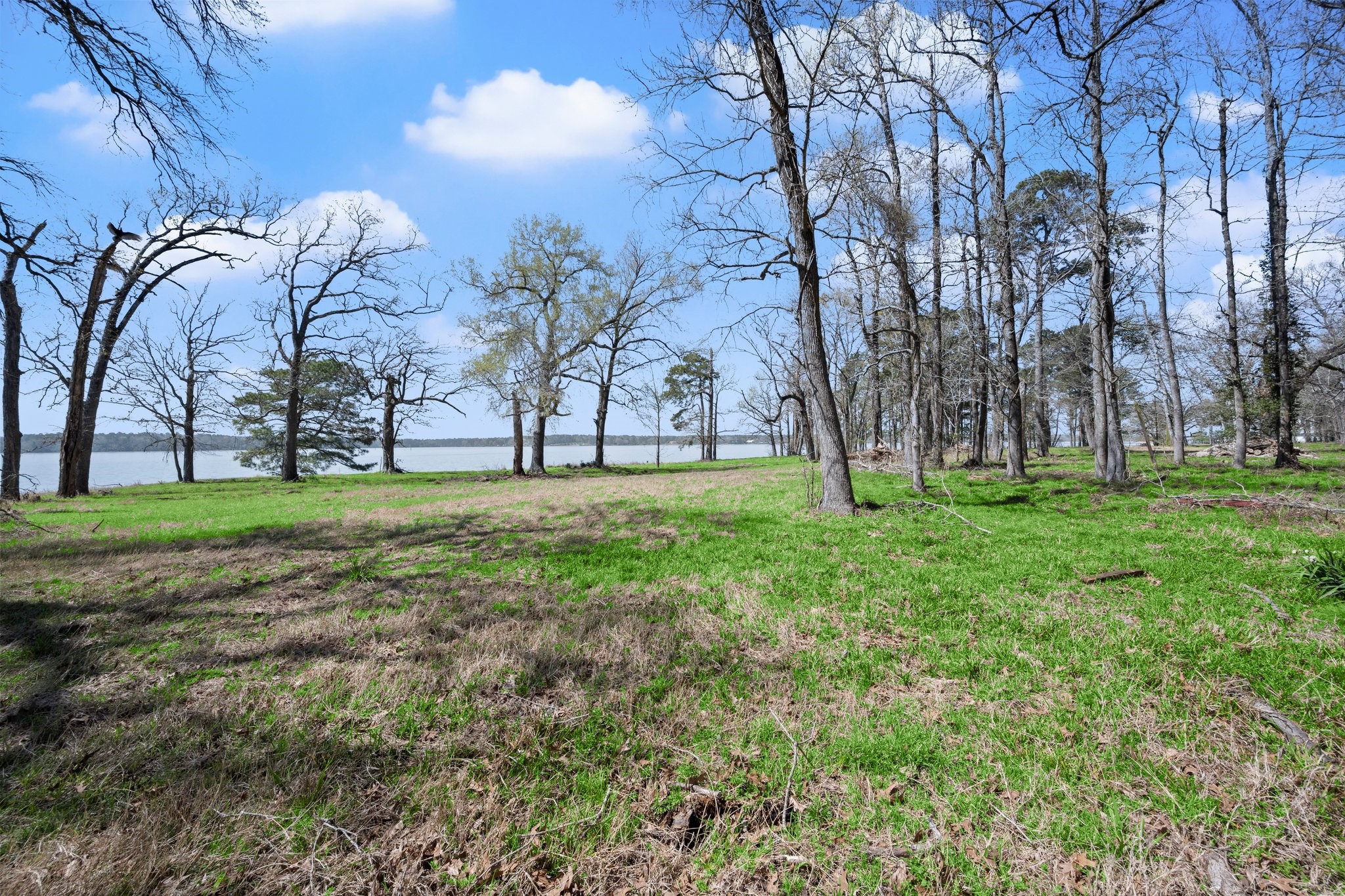 2405 Barrett's Landing Road Trinity, TX 75862 - Photo 41 of 48