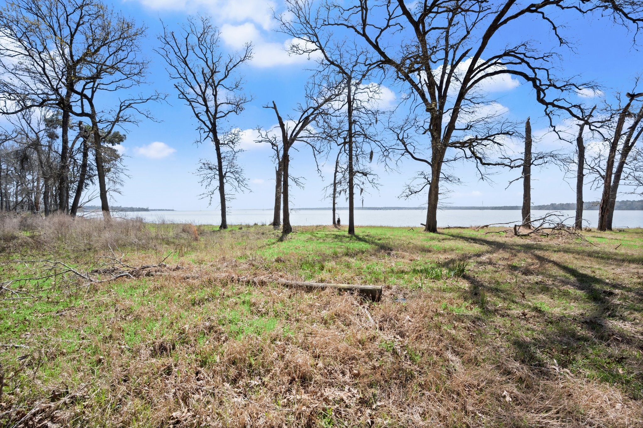 2405 Barrett's Landing Road Trinity, TX 75862 - Photo 43 of 48 a view of yard with tree in the background