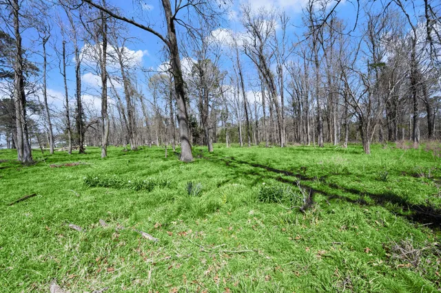 $2,000,000 | 2405 Barrett's Landing Road, Trinity, TX 75862