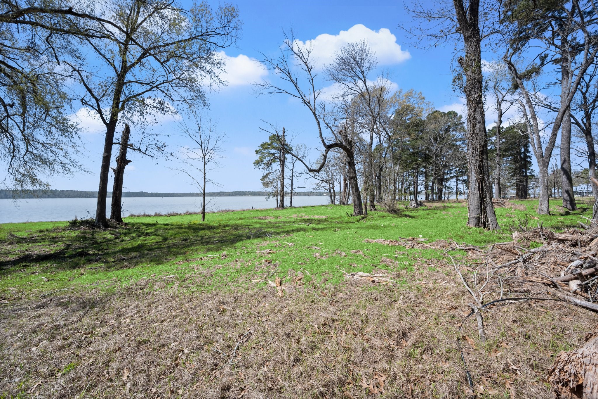 2405 Barrett's Landing Road Trinity, TX 75862 - Photo 45 of 48 a view of a trees with a yard