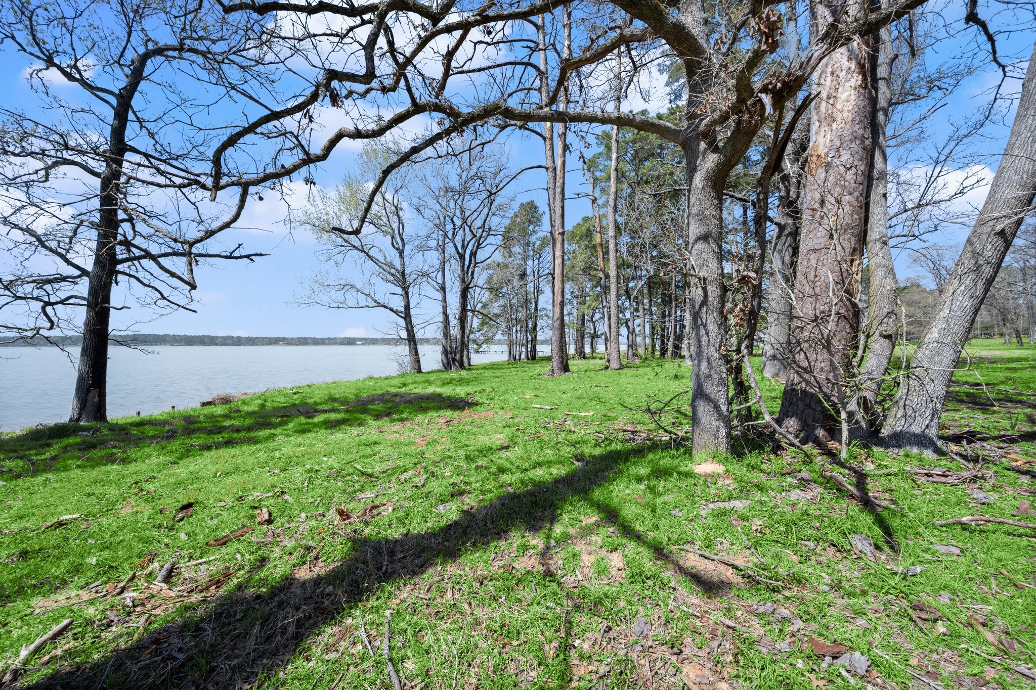 2405 Barrett's Landing Road Trinity, TX 75862 - Photo 46 of 48 a view of backyard with tree