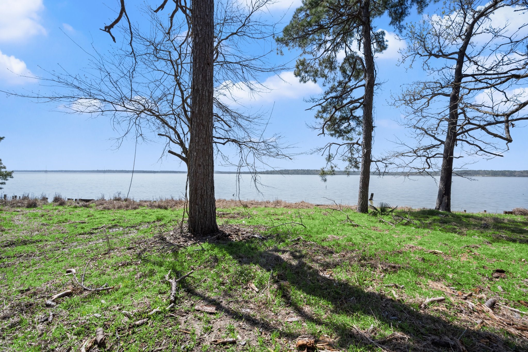 2405 Barrett's Landing Road Trinity, TX 75862 - Photo 47 of 48