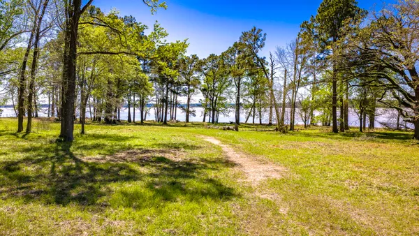 a view of yard with trees