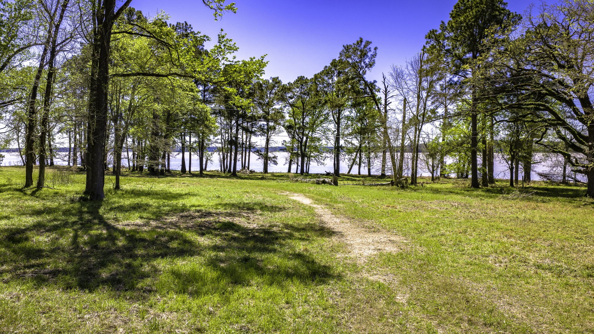 2405 Barrett's Landing Road Trinity, TX 75862 - Photo 6 of 30 a view of swimming pool with an outdoor space and seating area