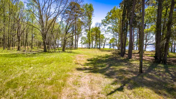 a view of a yard with an trees