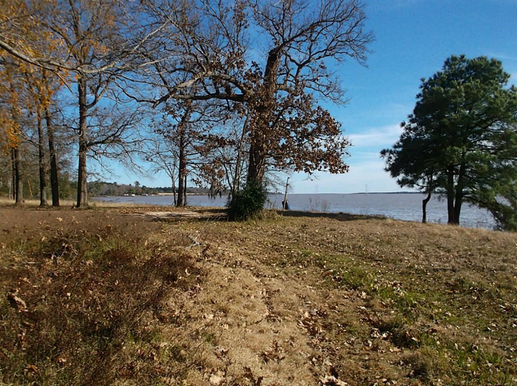 2405 Barrett's Landing Road Trinity, TX 75862 - Photo 7 of 48 a view of outdoor space with trees