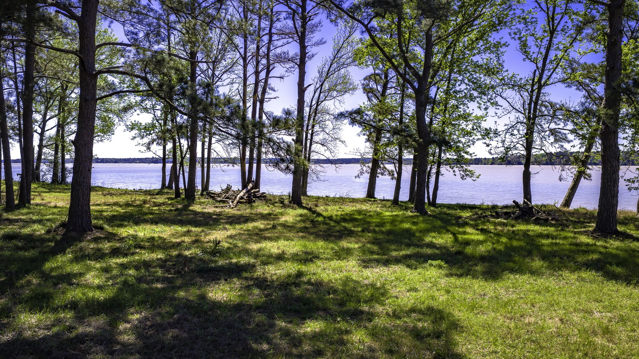 2405 Barrett's Landing Road Trinity, TX 75862 - Photo 8 of 30