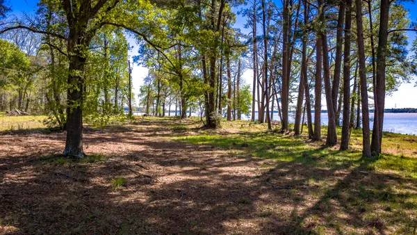 a view of an ocean and beach