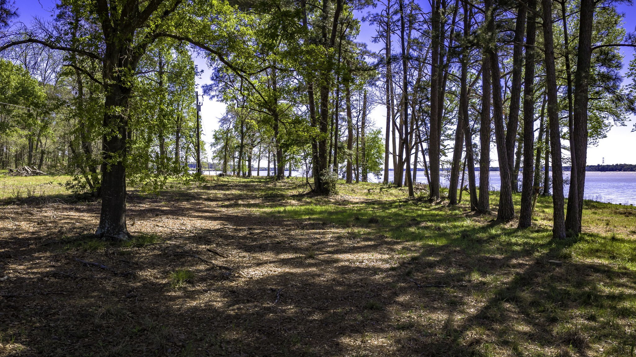 2405 Barrett's Landing Road Trinity, TX 75862 - Photo 9 of 30