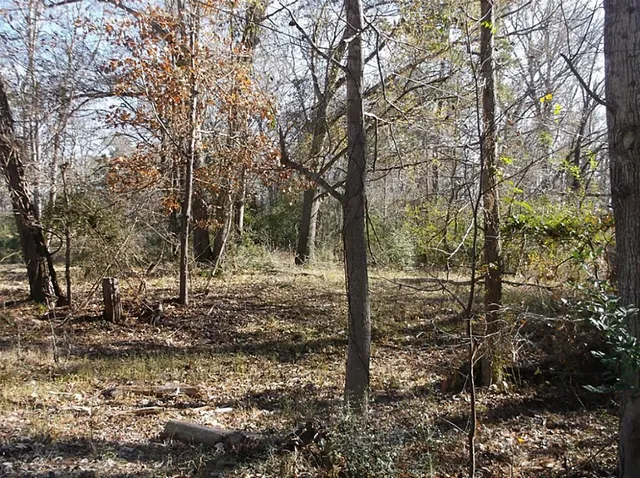a view of a lake from a yard