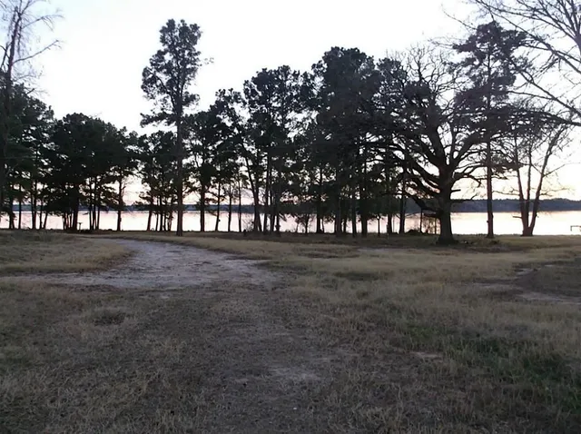 a view of an ocean and a yard