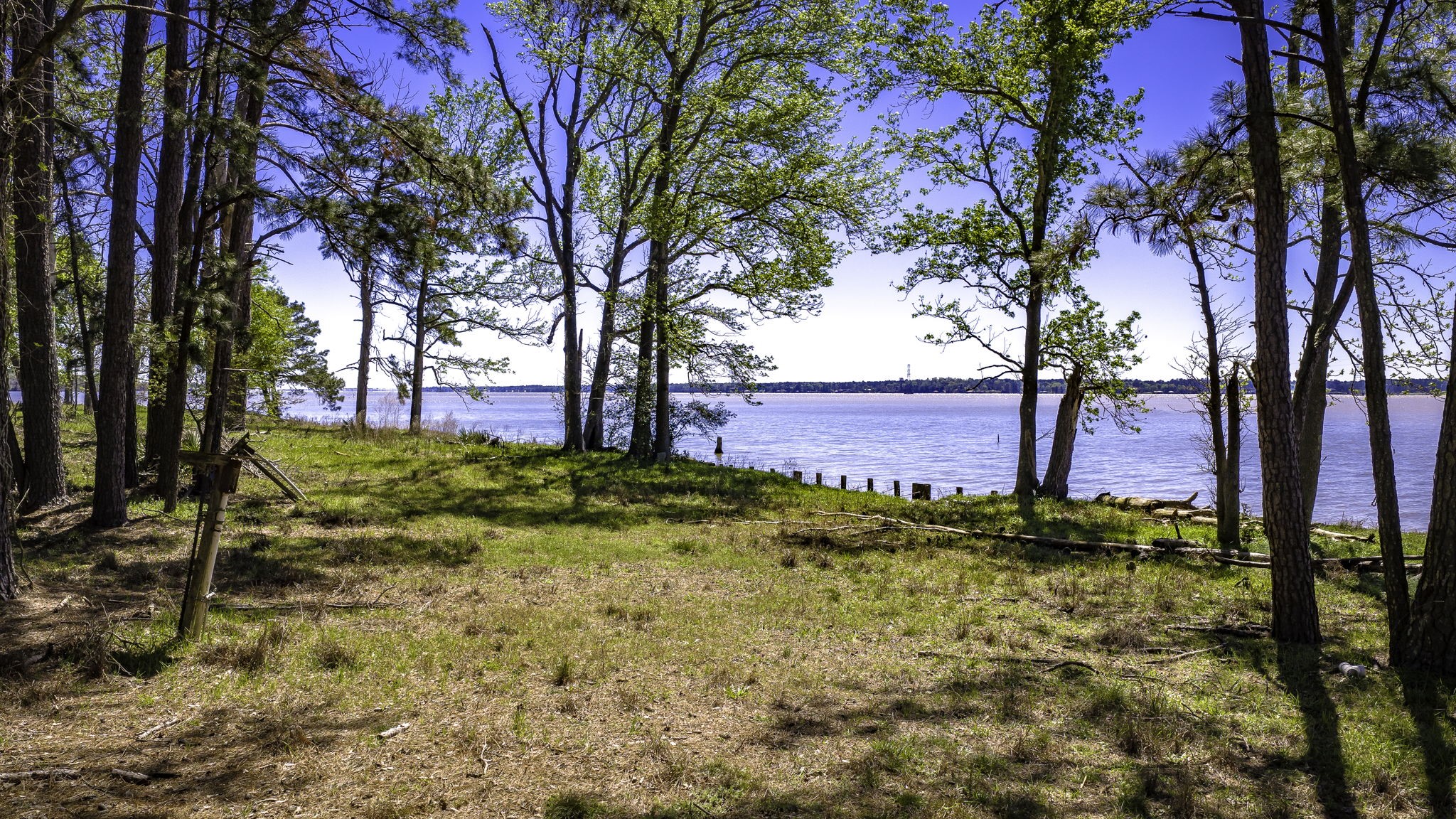 2405 Barrett's Landing Road Trinity, TX 75862 - Photo 10 of 30 a view of a yard with an trees