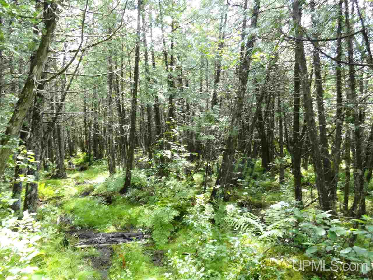 2 Rd Rock Mi 49880 Road Rock, MI 49880 - Photo 30 of 39