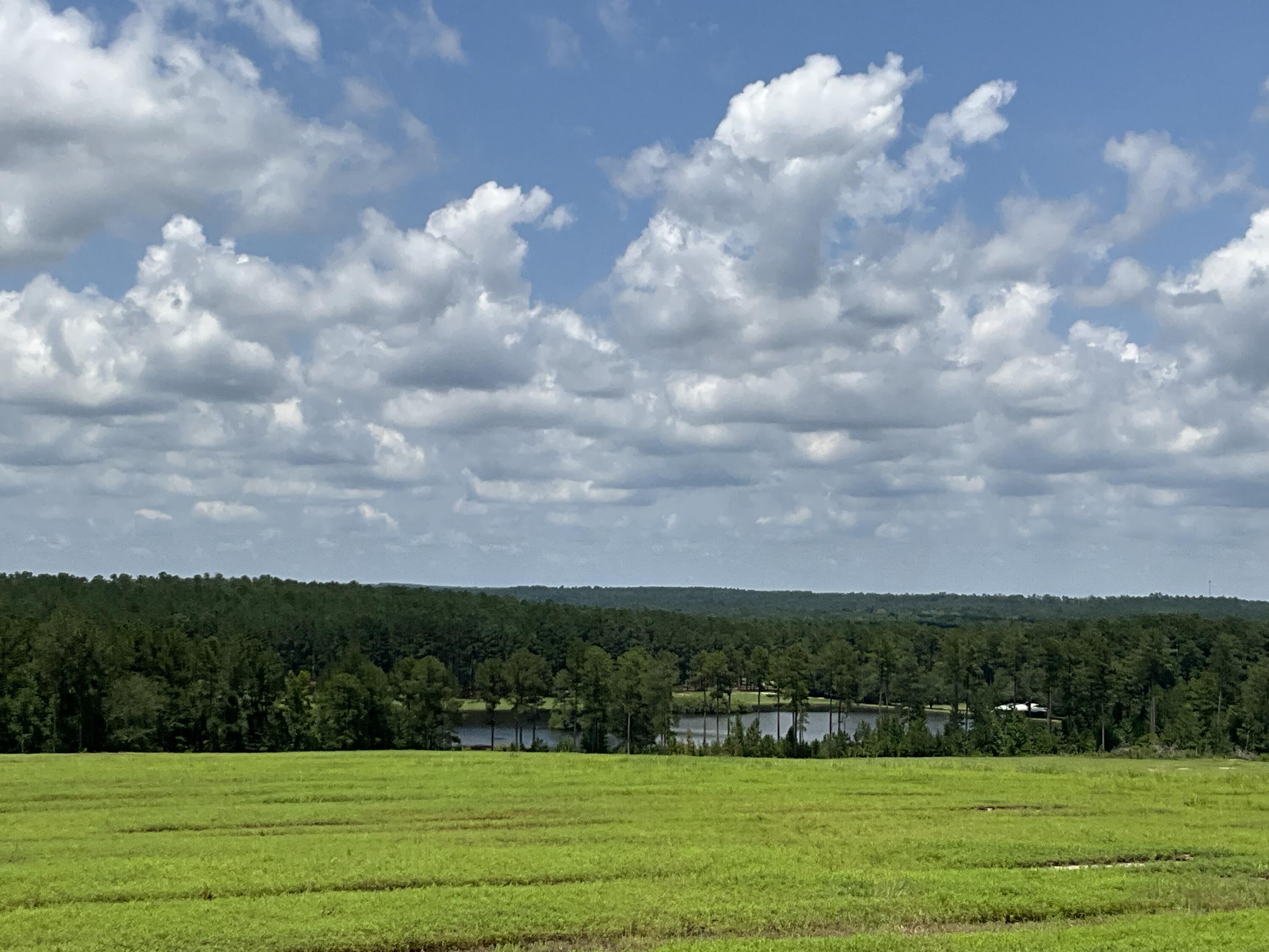 36 Laughlin Loop Aiken, SC 29805 - Photo 13 of 15