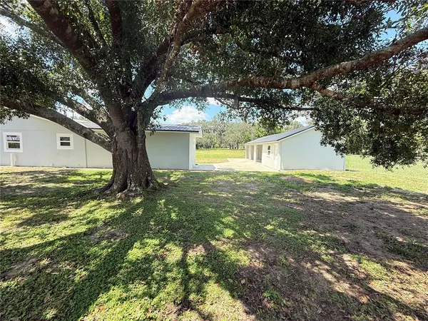 a view of a house with a tree