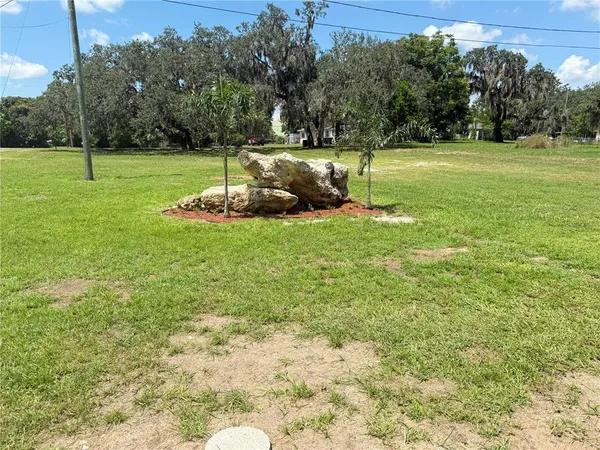 a view of a park with large trees