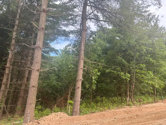 $55,900 | Lot 9-blk Brummer Drive, Randall, MN 56475