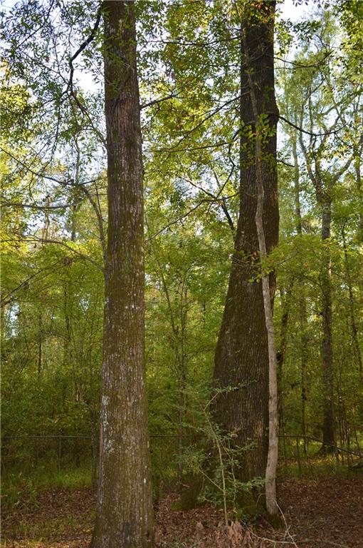 0 Searcy Eden Road Trout, LA 71371 - Photo 11 of 25 Gallery Image 11
