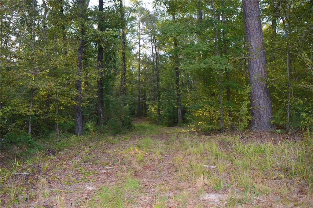 0 Searcy Eden Road Trout, LA 71371 - Photo 14 of 25 Gallery Image 14