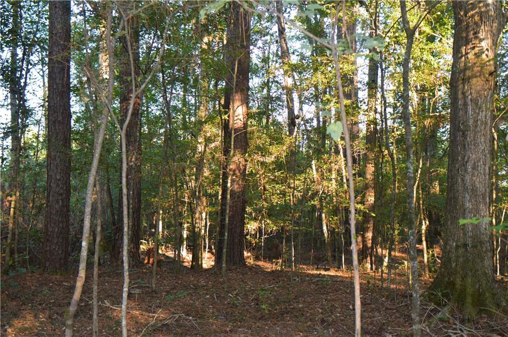 0 Searcy Eden Road Trout, LA 71371 - Photo 17 of 25 Gallery Image 17