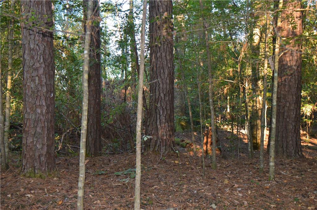 0 Searcy Eden Road Trout, LA 71371 - Photo 18 of 25 Gallery Image 18